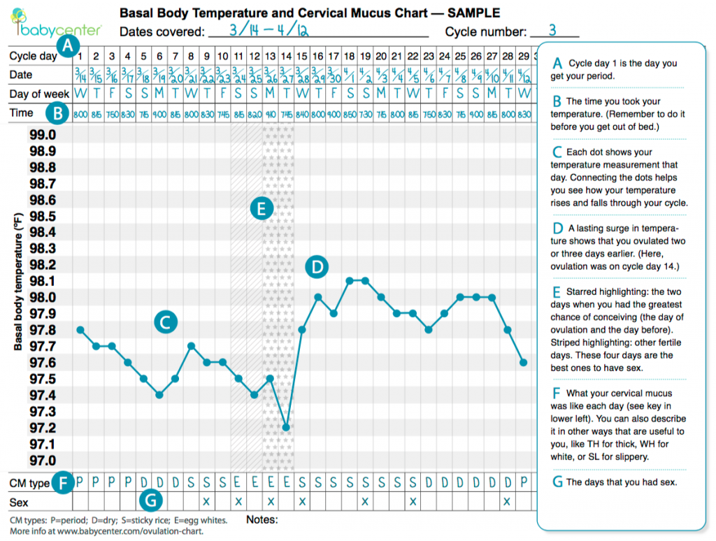 Fertility Temperature Tracking Chart